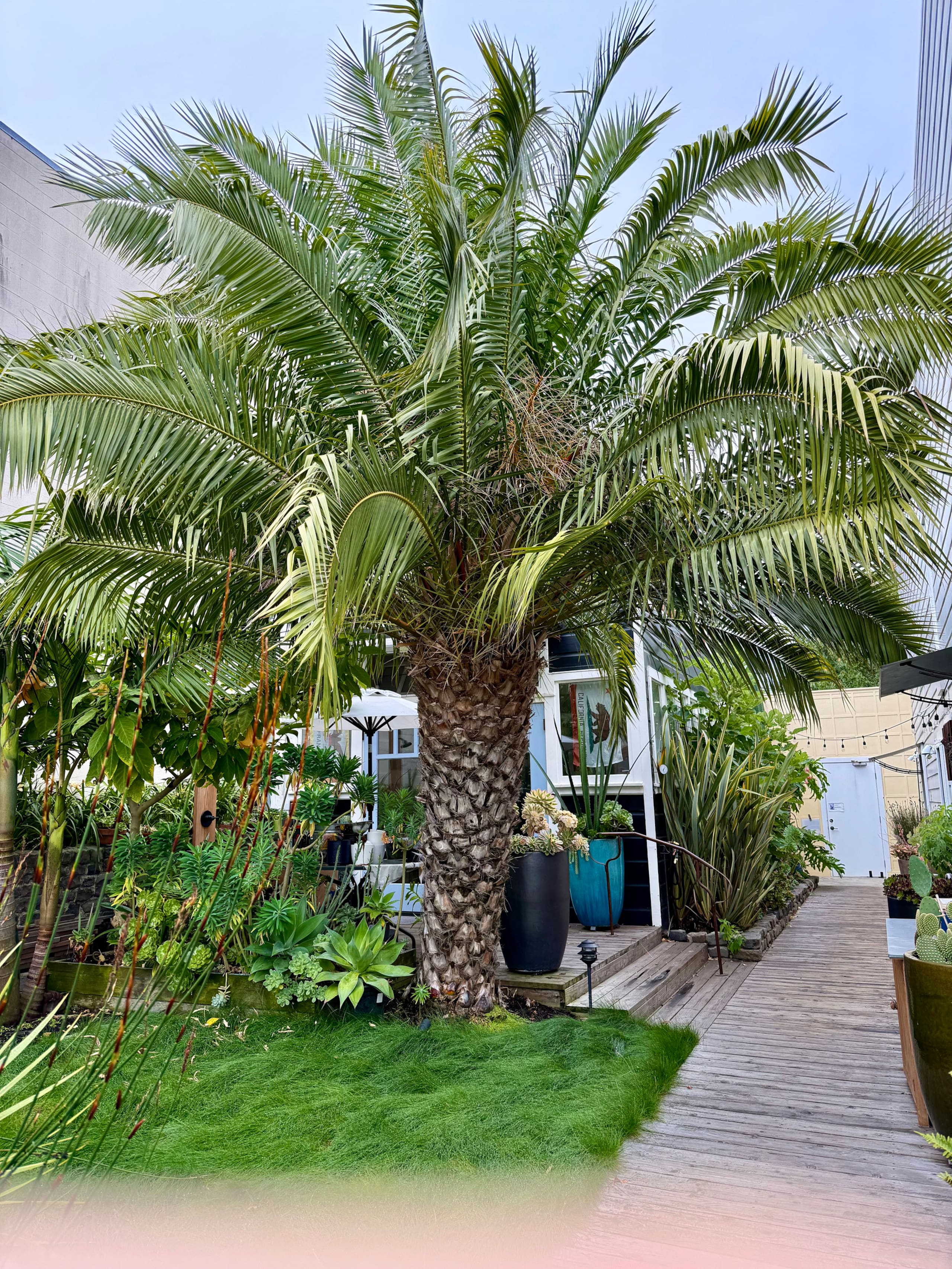 Home in San Francisco · ★4.97 · 1 bedroom · 1 bed · 1 bath - Image 11