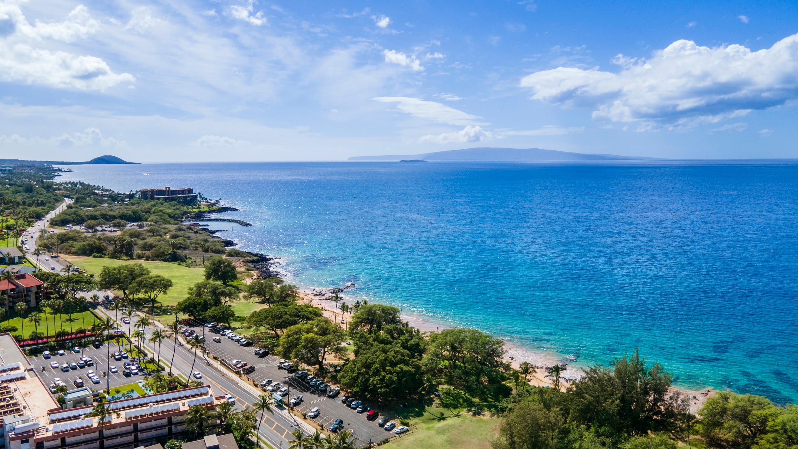 Condo in Kihei · ★4.93 · Studio · 1 bed · 1 private bath - Image 9