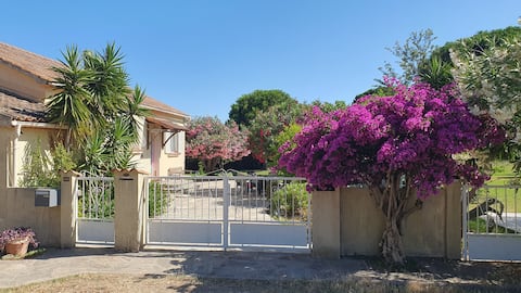 Close to the beach, house on large enclosed wooded grounds