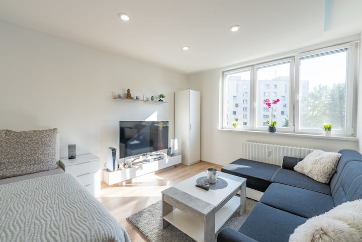 Kobra Apartment - Ostrava
