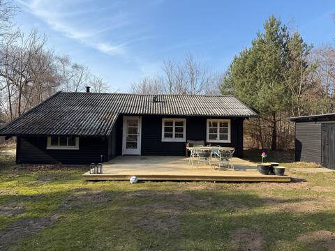 Beautifully renovated cottage by the forest and large plot