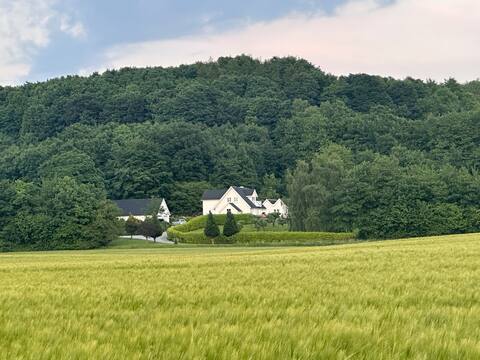 Serene cozy villa near Aarhus with large gardens