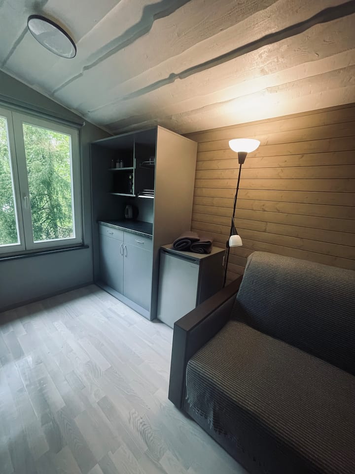 Всекидневна 1