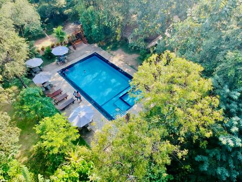 Dudley Nature Resort - Tree House (B&B)