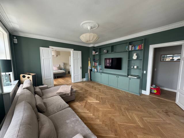 Best view in Cph, authentic Cph apartment in cityC