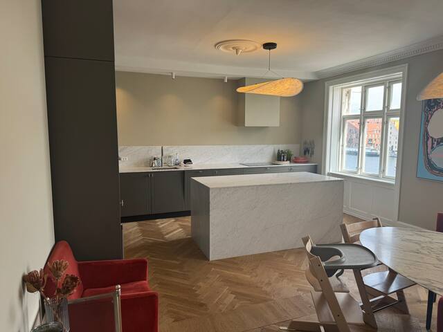 Best view in Cph, authentic Cph apartment in cityC gallery image 5