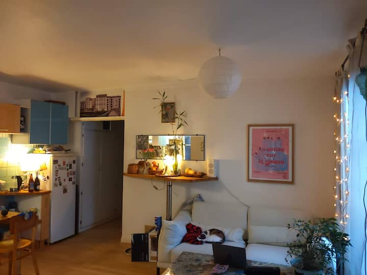 Cosy Flat In North Paris - 19th arrondissement