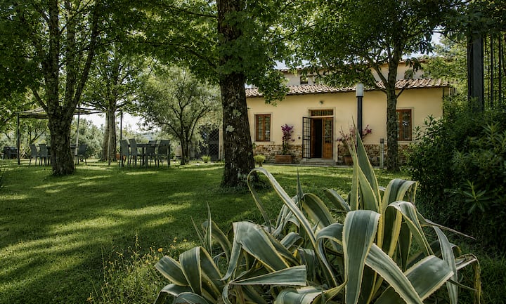 Appartamento Davinci - Firenze