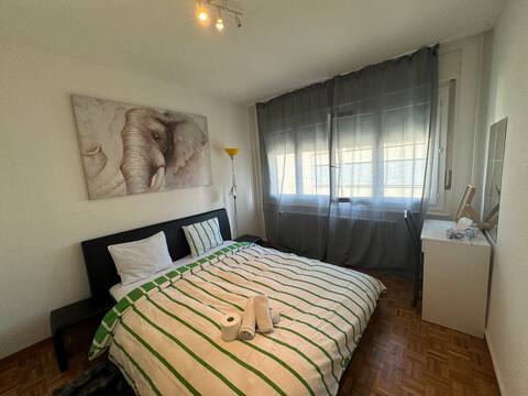 "Luffy" Great Apartment in Downtown Geneva!
