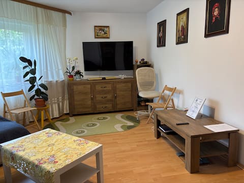 Popular Airbnb listing: Comfortable apartment in Craiova