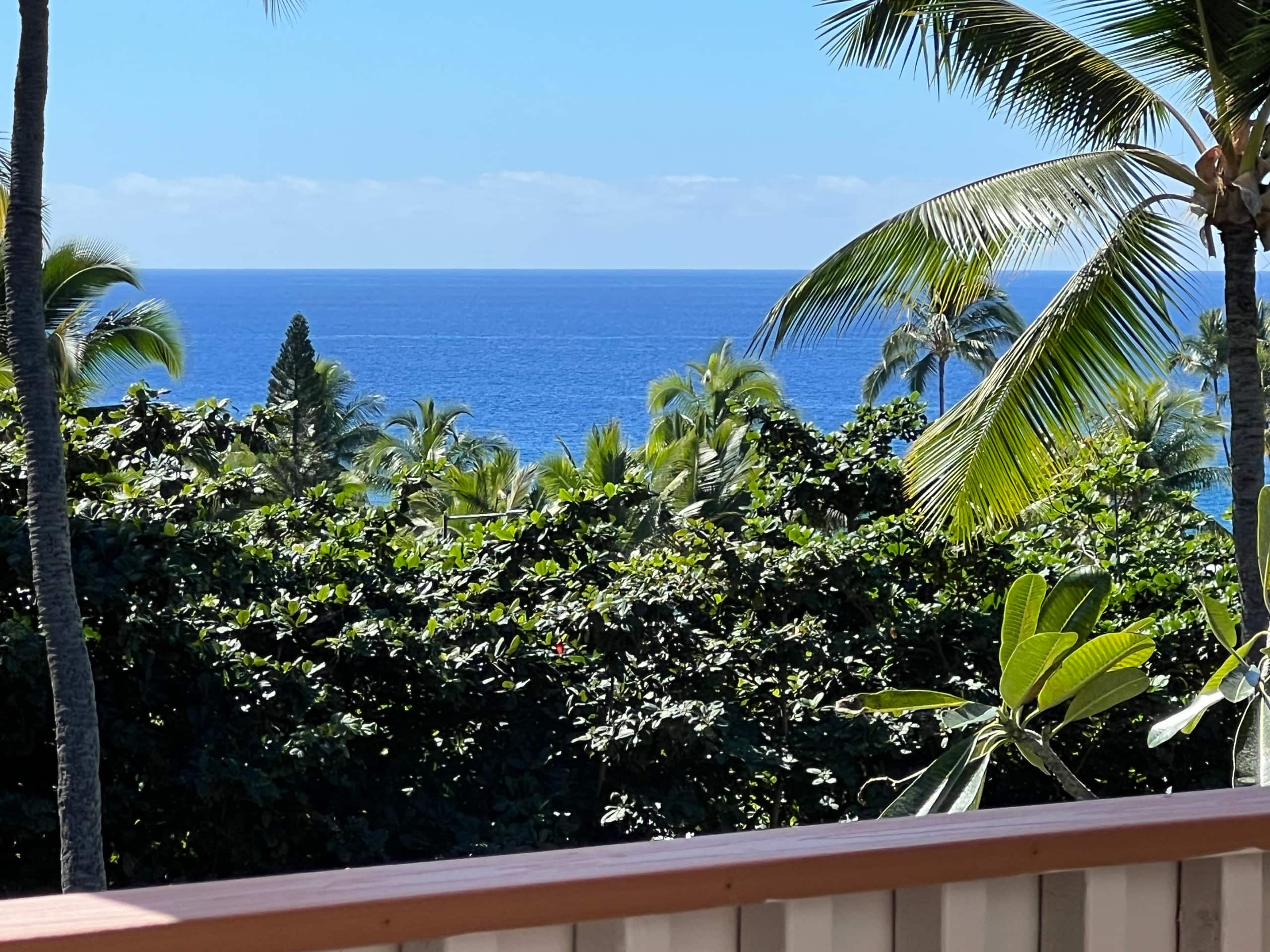 Condo in Kailua-Kona · ★4.98 · 1 bedroom · 2 beds · 1 bath - Image 26
