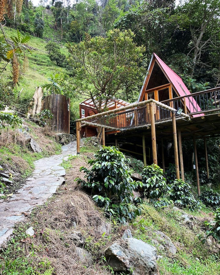 Glamping El Mirador - Ibagué