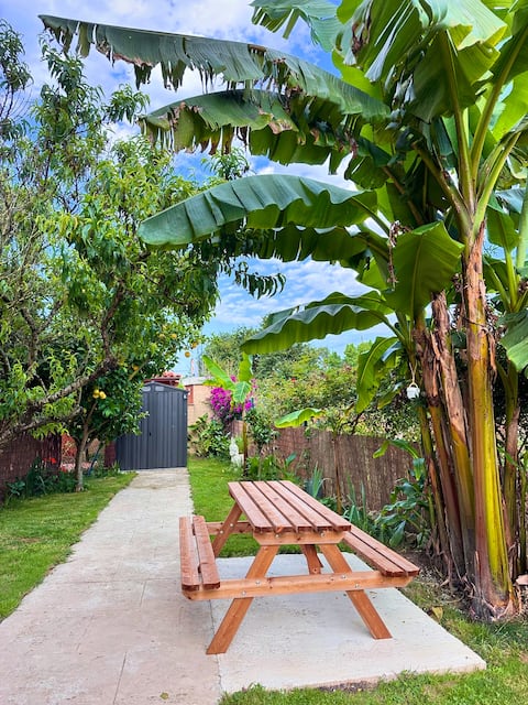 The sea of the Picos de Europa
