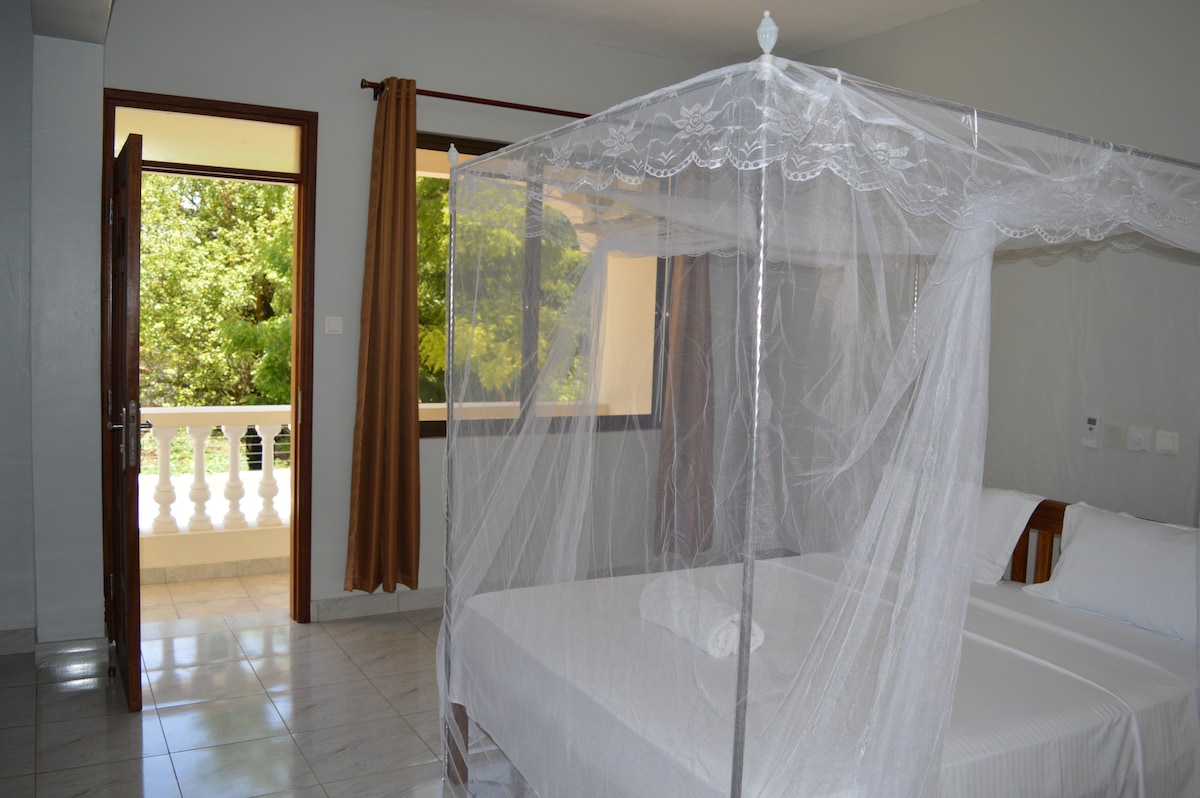 A serene bedroom features two double beds protected by a delicate mosquito net. Natural light filters through the window, illuminating the space. An open door provides a view of greenery just outside, while warm curtains frame the window, enhancing the inviting atmosphere.