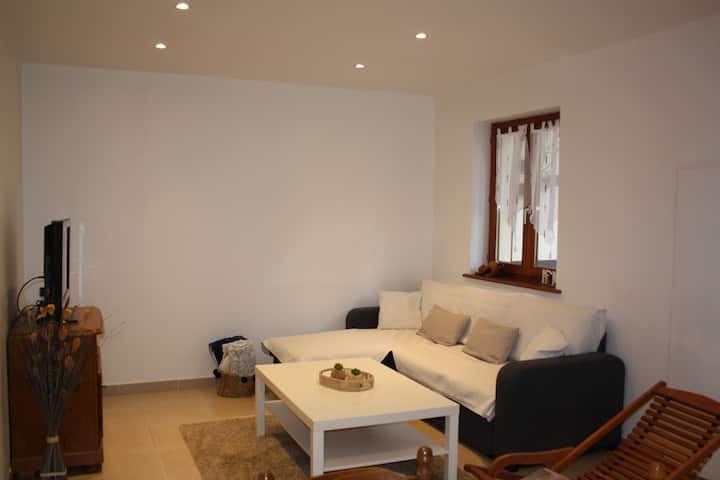 Maison Avec Jardin - Lac du Ballon