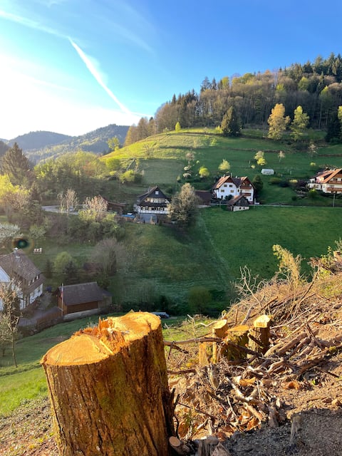 Cosy cottage in the Black Forest