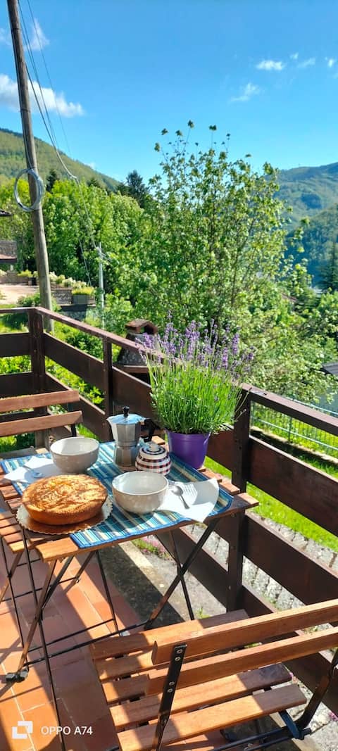 Strawberry house Weekly discount 18% Monthly 40%