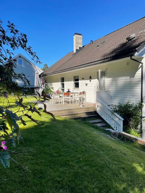 Nice and comfortable apartment