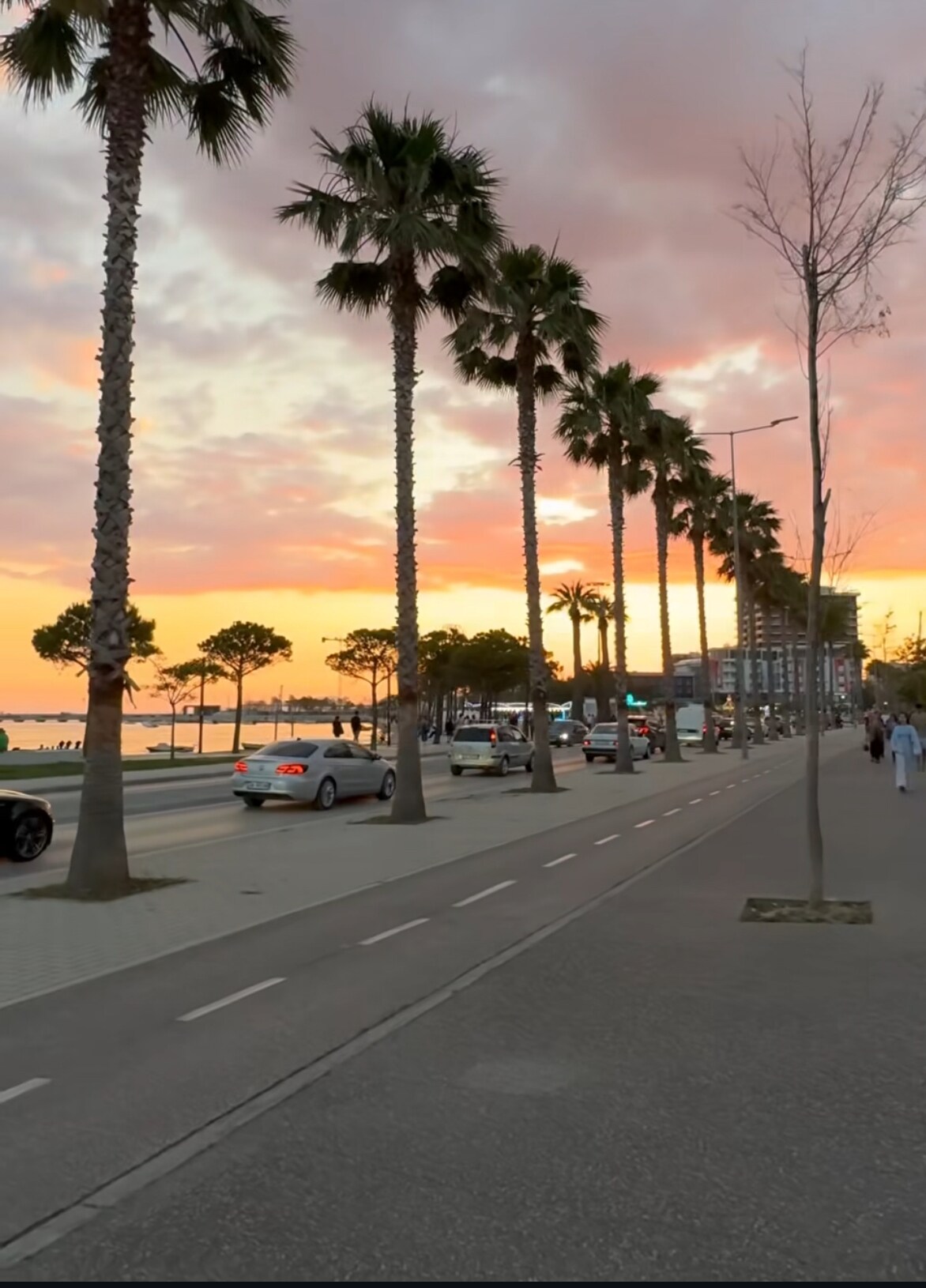 Listing 924706448401727391