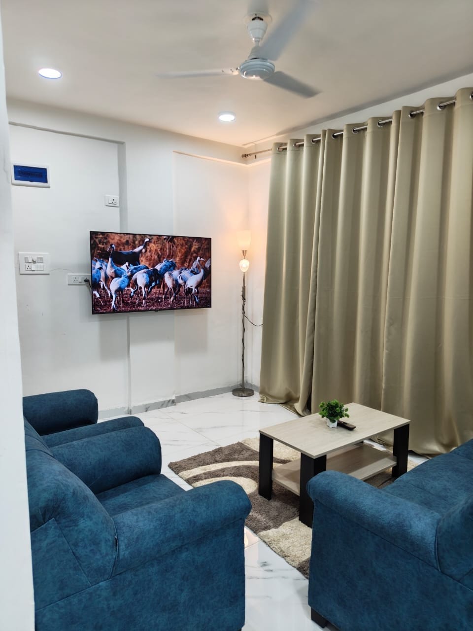 A living room area includes two blue armchairs positioned around a small black coffee table. A soft rug lies beneath the table. A 55-inch smart TV is mounted on the wall, and contrasting curtains frame a window. Soft lighting is provided by a standing lamp.