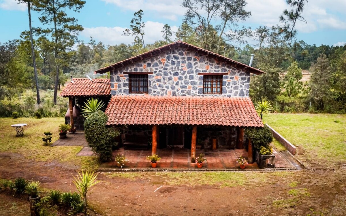 A charming two-story cabin made of stone is surrounded by lush greenery. A tiled roof and wooden beams enhance its rustic appearance. The front porch features potted plants and outdoor seating, offering a welcoming entryway to the tranquil forest setting.