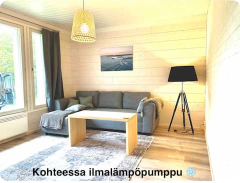 Hailuoto center detached house