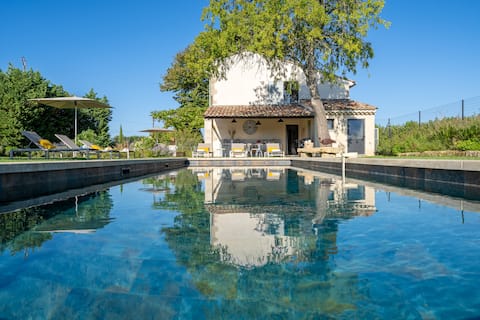 Beautifully restored farmhouse, charming decor, Luberon view