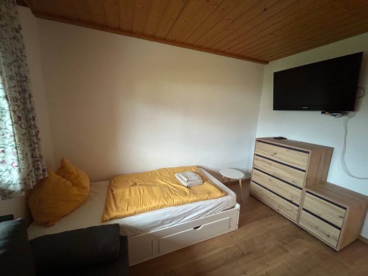Gemütliche Kleine Wohnung - Vorarlberg