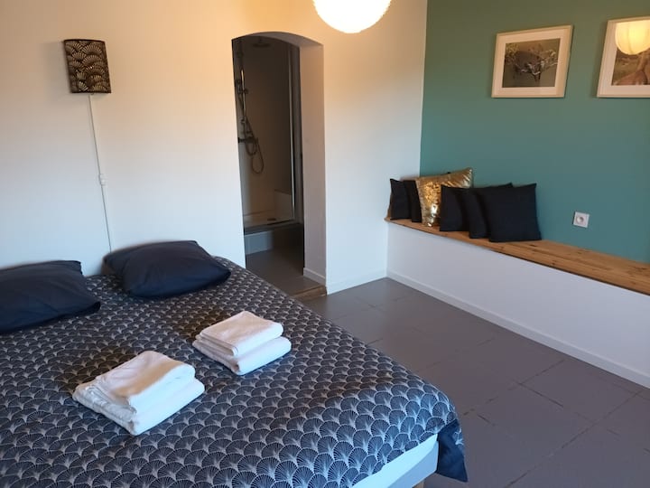 1ere chambre en rdc avec penderie et une salle de douche. 