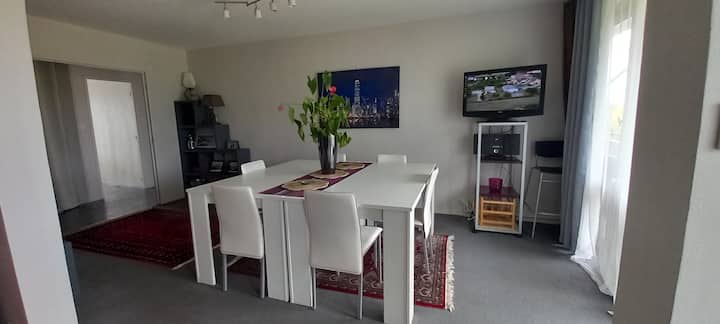 Grand  T3  75m2 Traversant Ensoleille Calme - Bordeaux