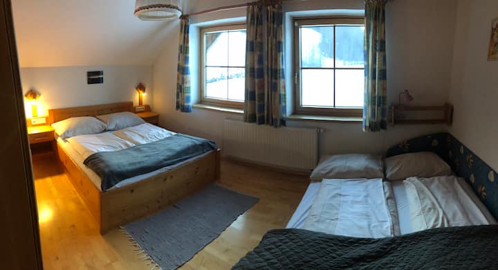 Habitación 1