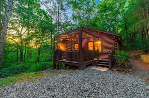 Successful Airbnb property: Private Hot Tub • Dog-Friendly • Near Blue Ridge in Ellijay
