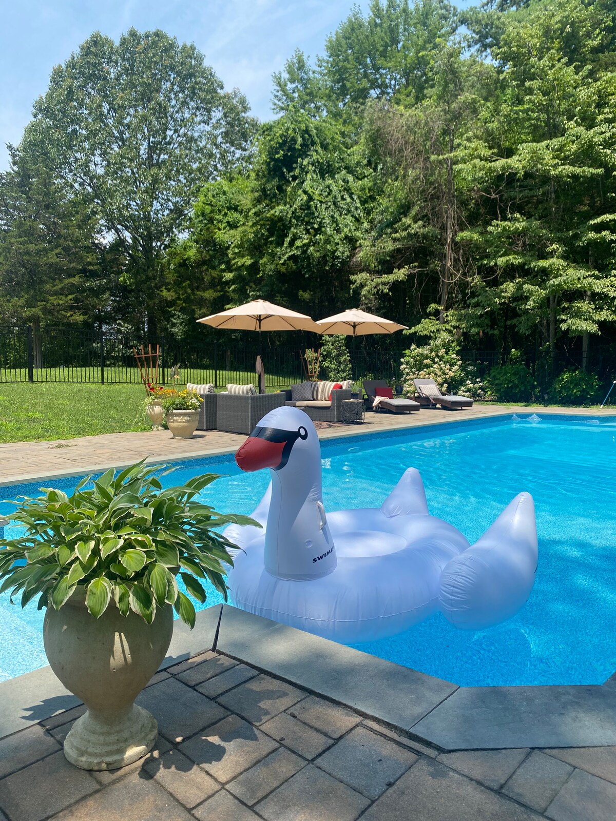 A bright pool area features an inflatable swan floating on clear water. The surrounding space includes a stone patio with lounge chairs and large umbrellas, shaded by lush greenery. Potted plants add a touch of nature to the tranquil environment.