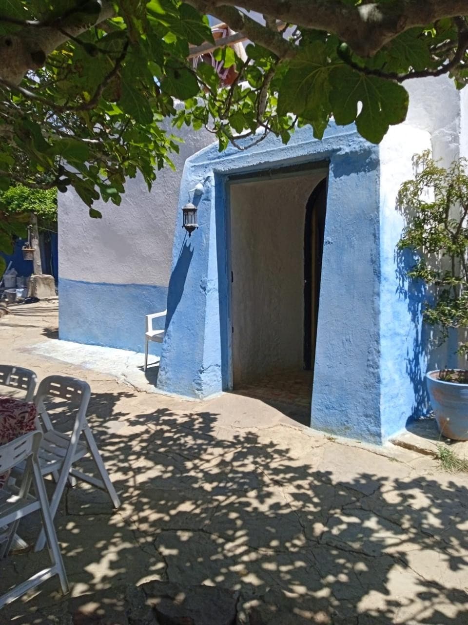 An entrance to a stone-made house is framed by a vibrant blue door. Sunlight casts playful shadows on the ground, revealing a stone pathway and outdoor seating. Green foliage and a potted plant enhance the inviting atmosphere of the entryway.