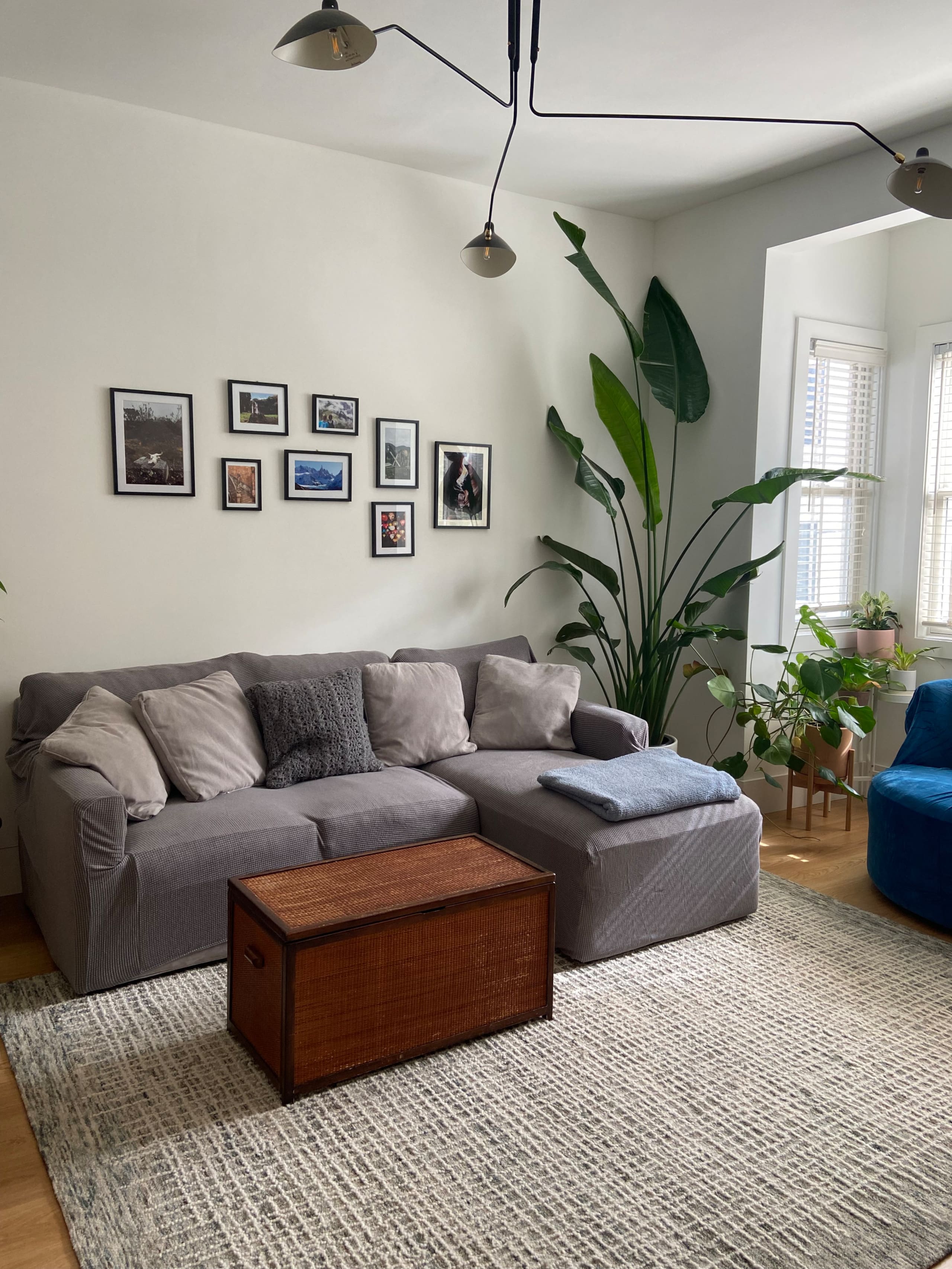 Mission Dolores Oasis - Image 1