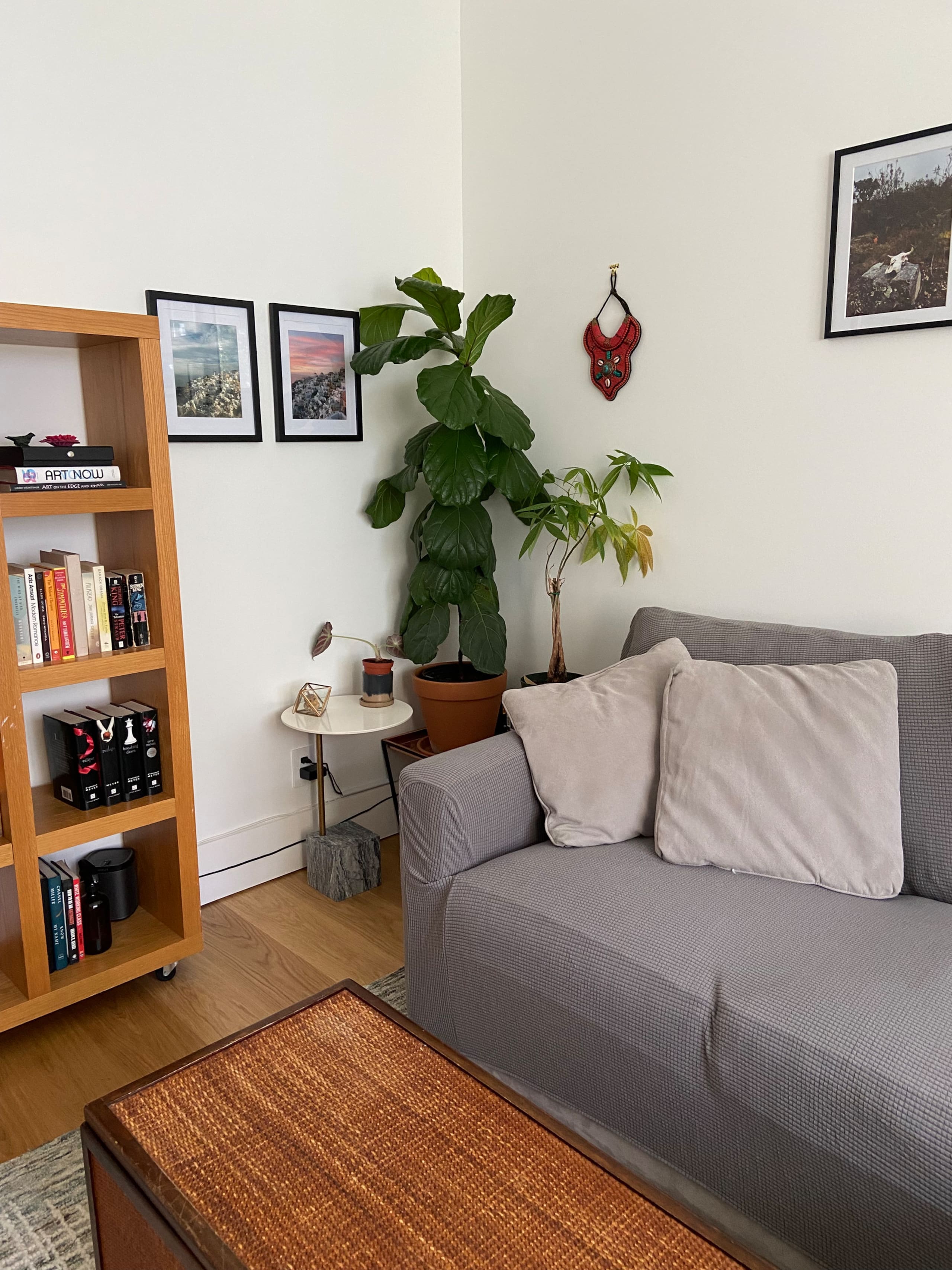 Mission Dolores Oasis - Image 4