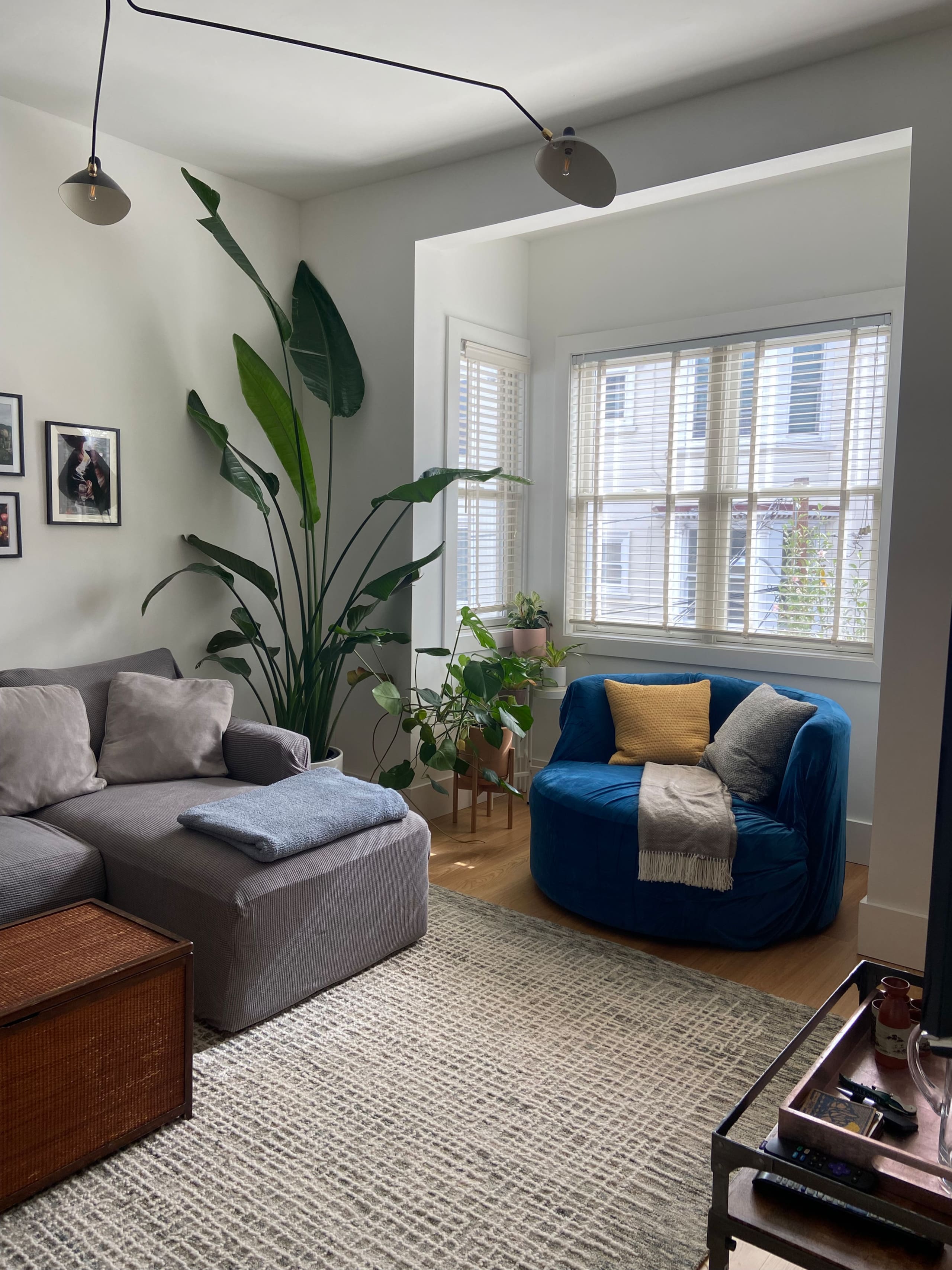 Mission Dolores Oasis - Image 2