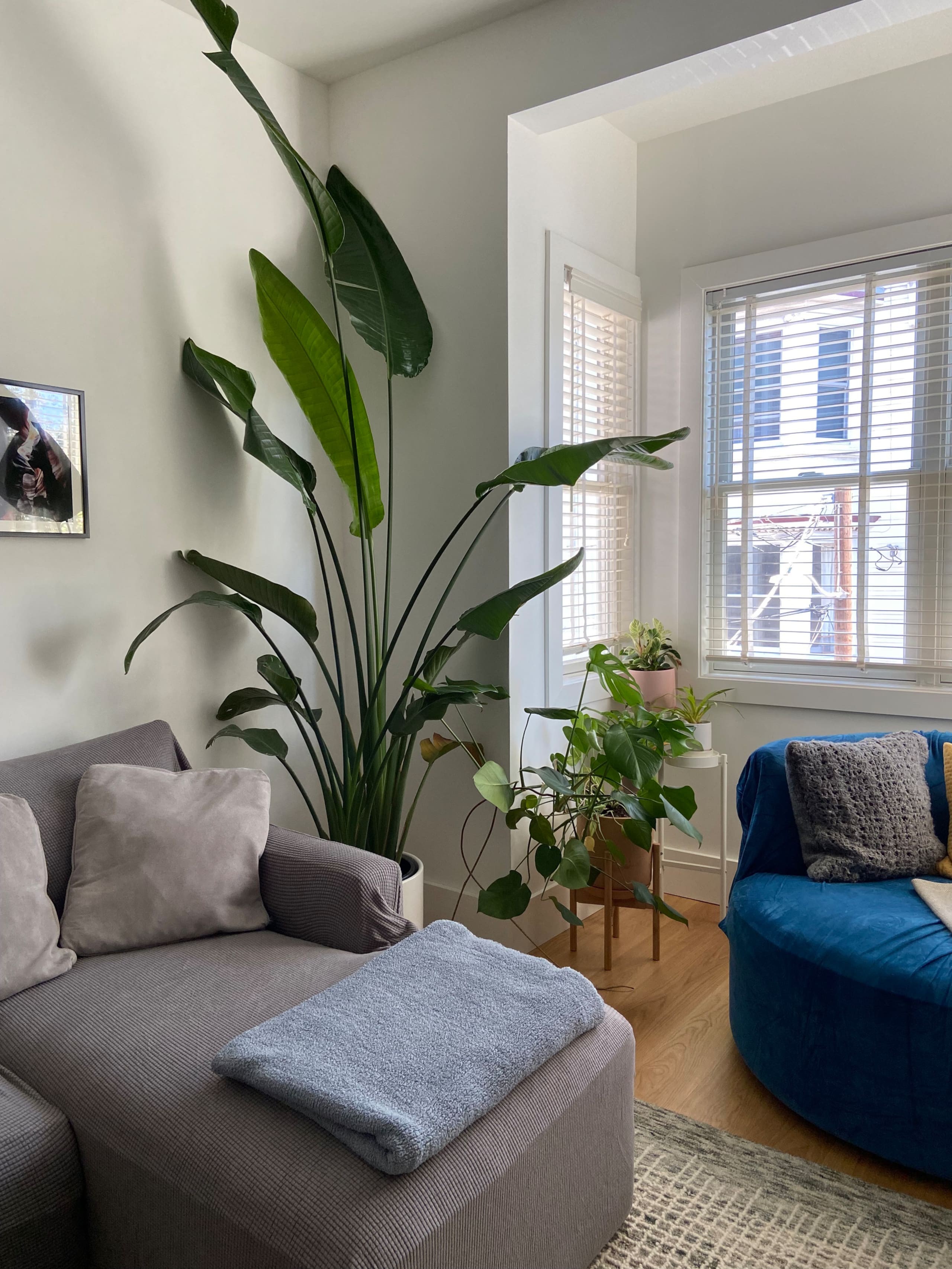 Mission Dolores Oasis - Image 3