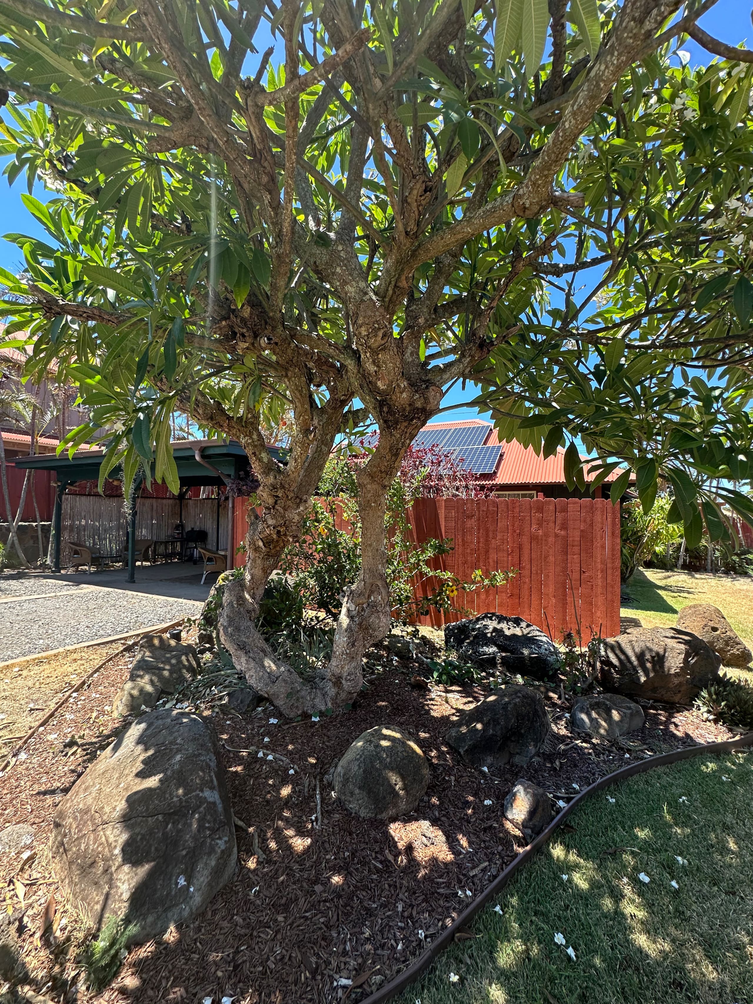 Home in Paia · ★4.93 · 1 bedroom · 1 bed · 1 bath - Image 19
