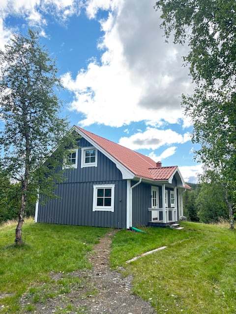 Dalbo vedbastu, cross-country skiing 100 m, ski lift 1 km