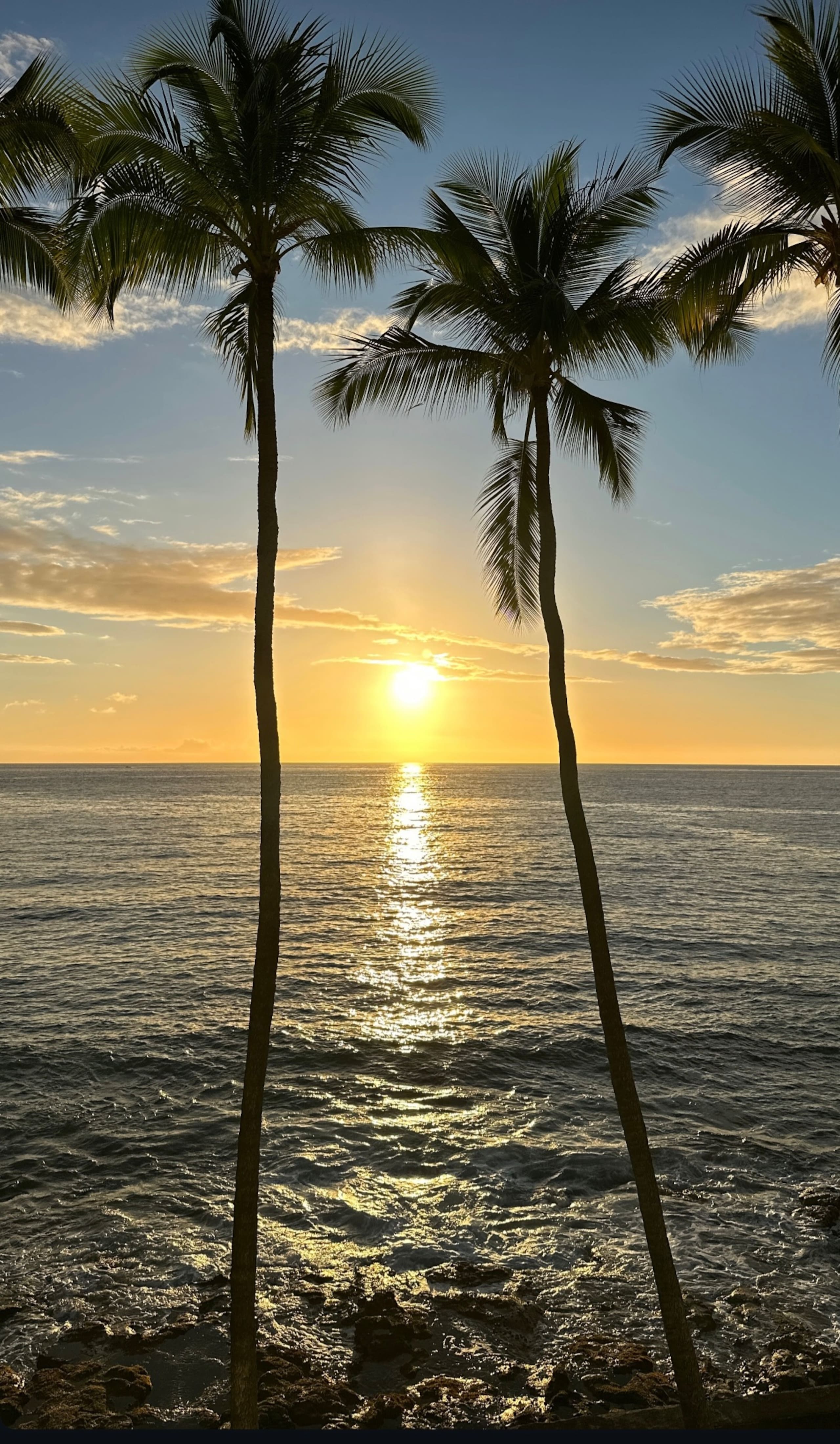 Boutique oceanfront Condo Studio Aug/Sep specials  - Image 21