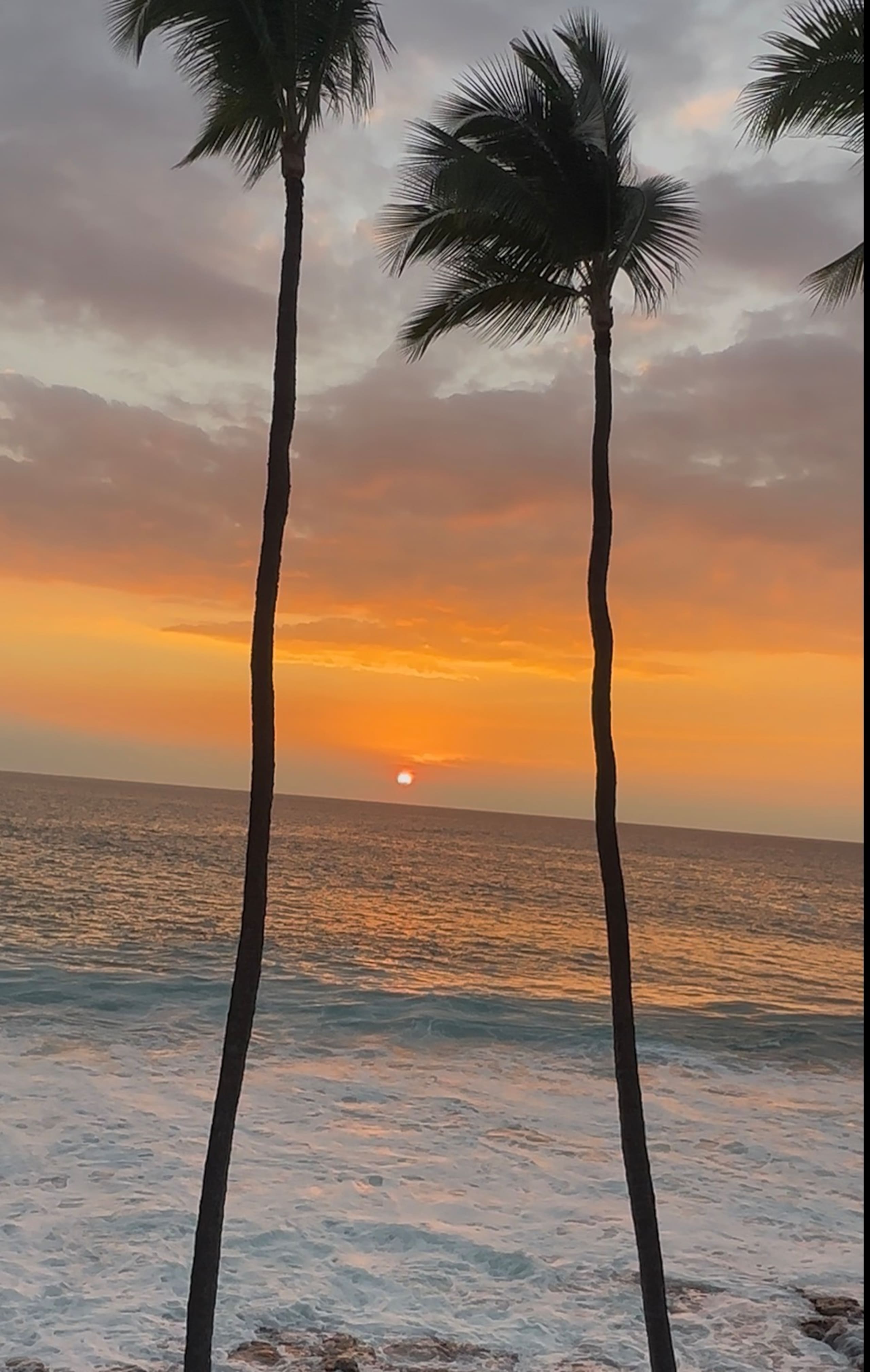Boutique oceanfront Condo Studio Aug/Sep specials  - Image 40