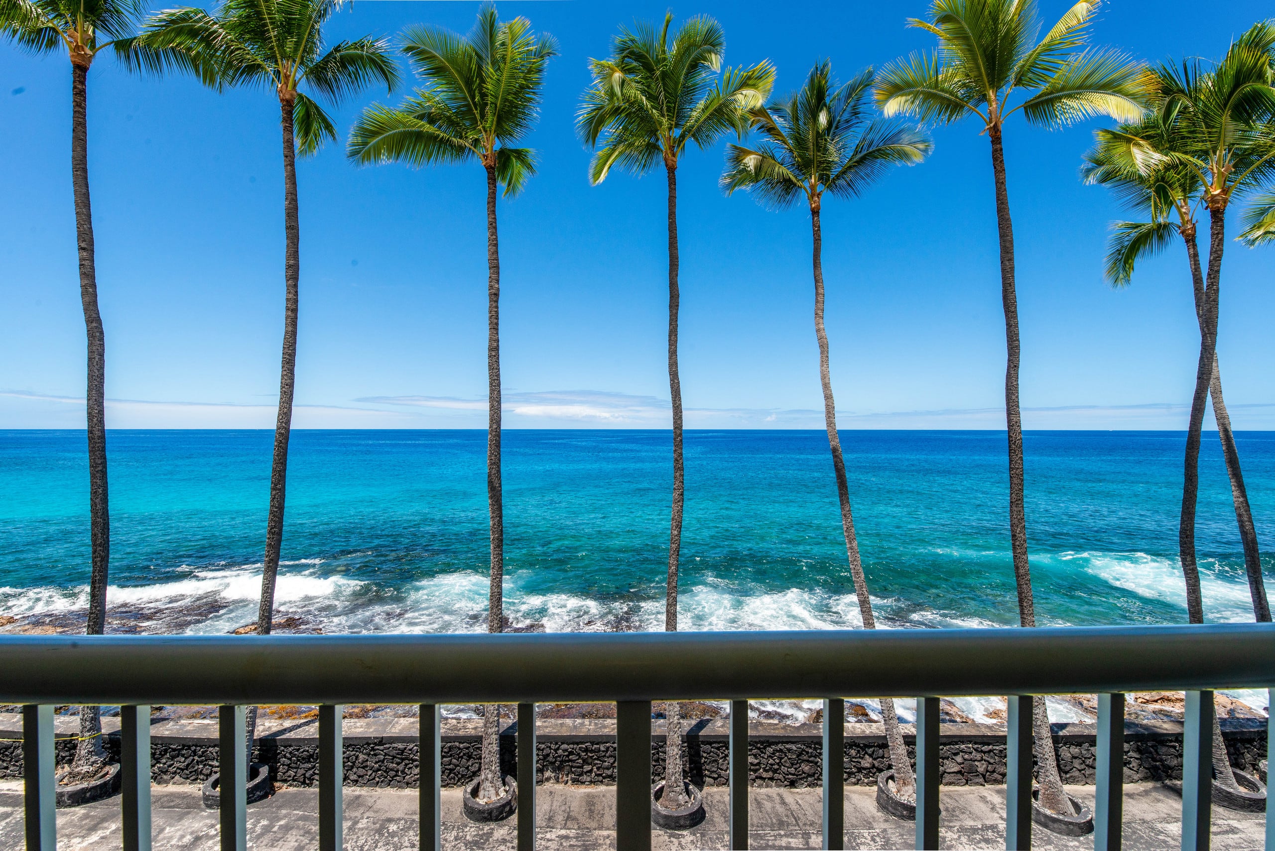 Boutique oceanfront Condo Studio Aug/Sep specials  - Image 20