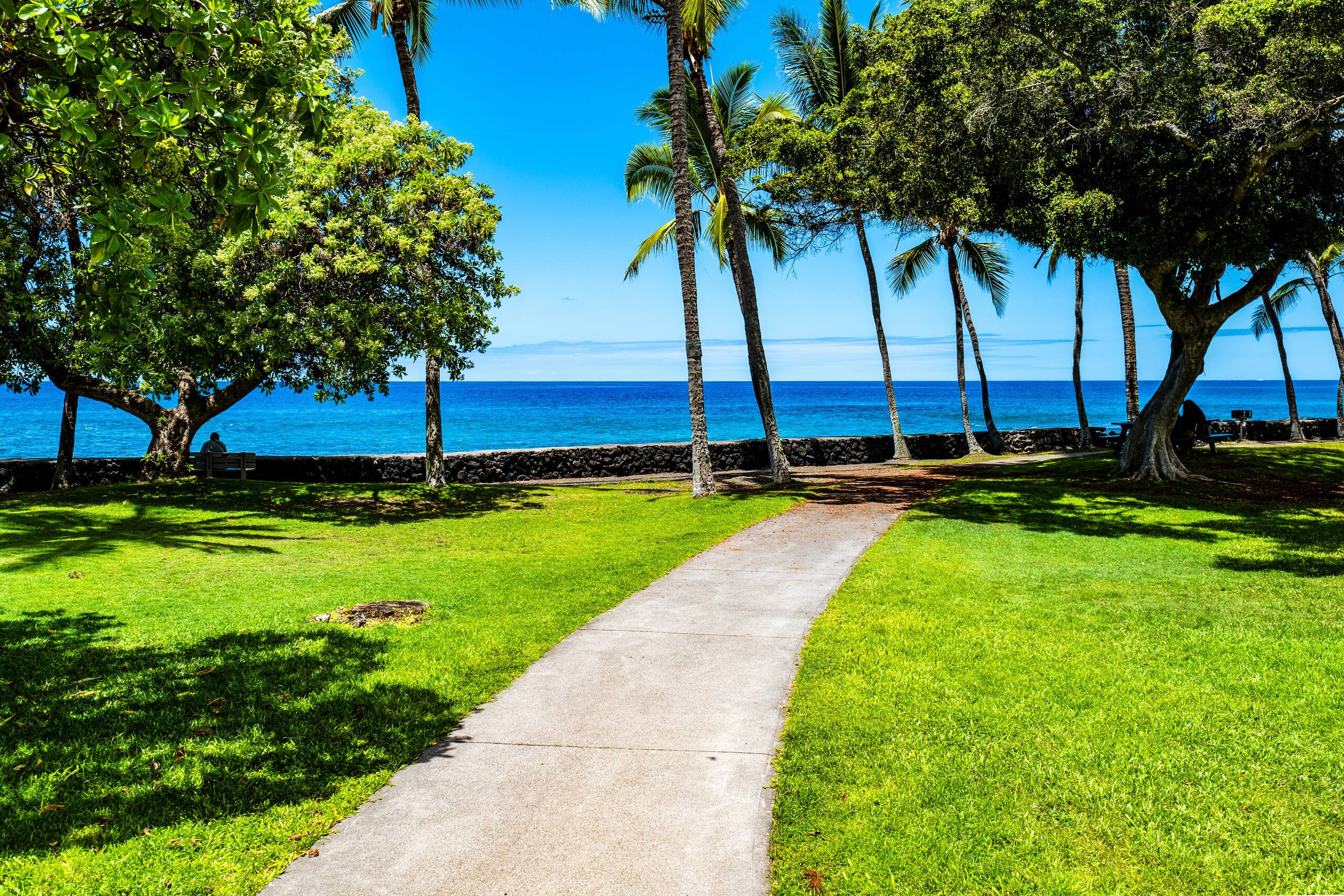 Boutique oceanfront Condo Studio Aug/Sep specials  - Image 34