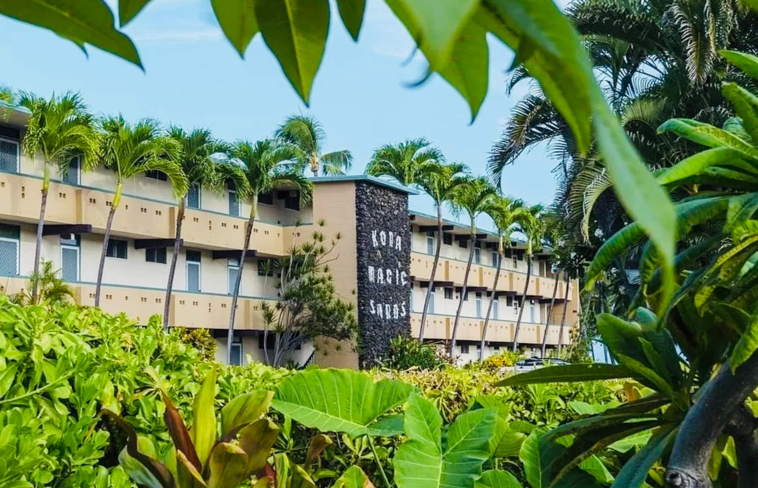 Boutique oceanfront Condo Studio Aug/Sep specials  - Image 24