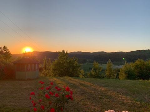 Unique panoramic view ~ near Lake Constance &Messe