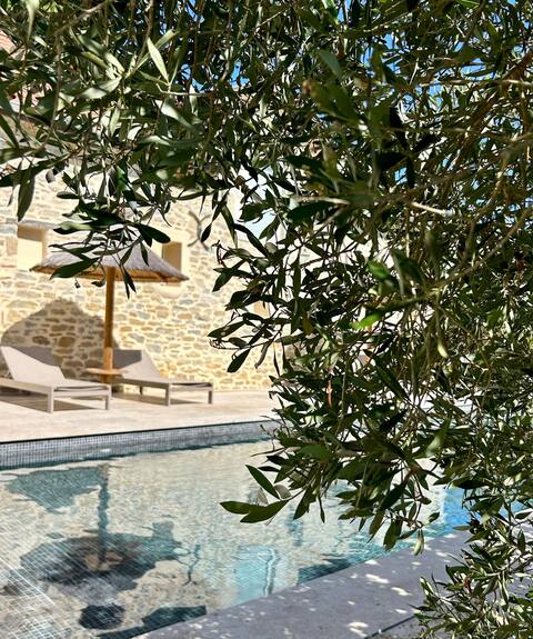 Rental near Hossegor/Basque Country/Swimming Pool