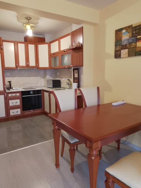 Center. Cozy large apartment.