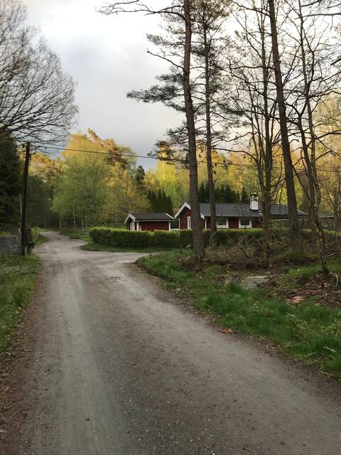 Cozy house in a quiet area.