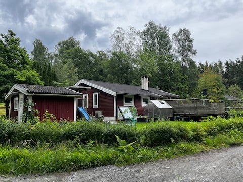 Cozy house in a quiet area.